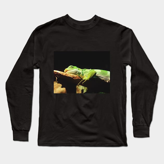 Iguana Take A Nap Long Sleeve T-Shirt by JenPerry